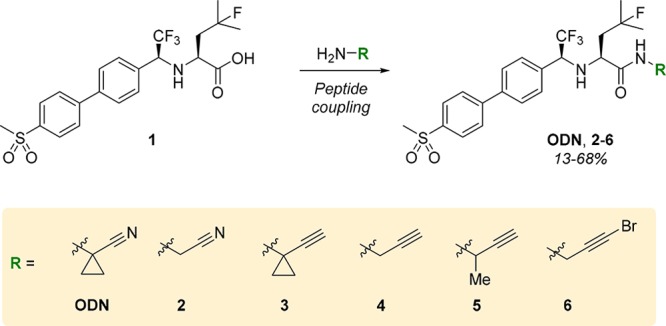 Scheme 2