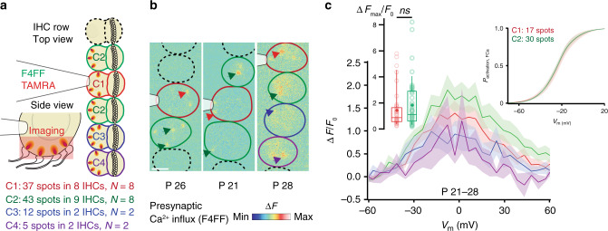 Fig. 7