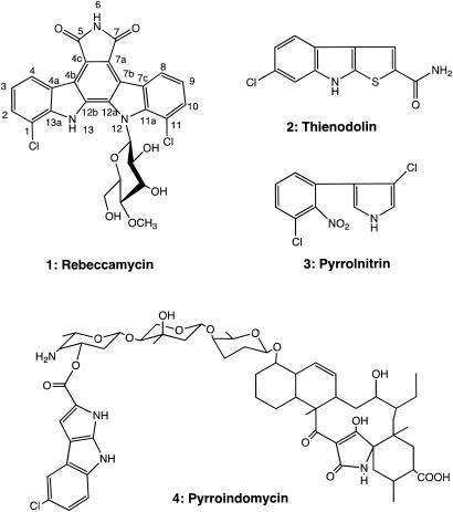 FIG. 1.