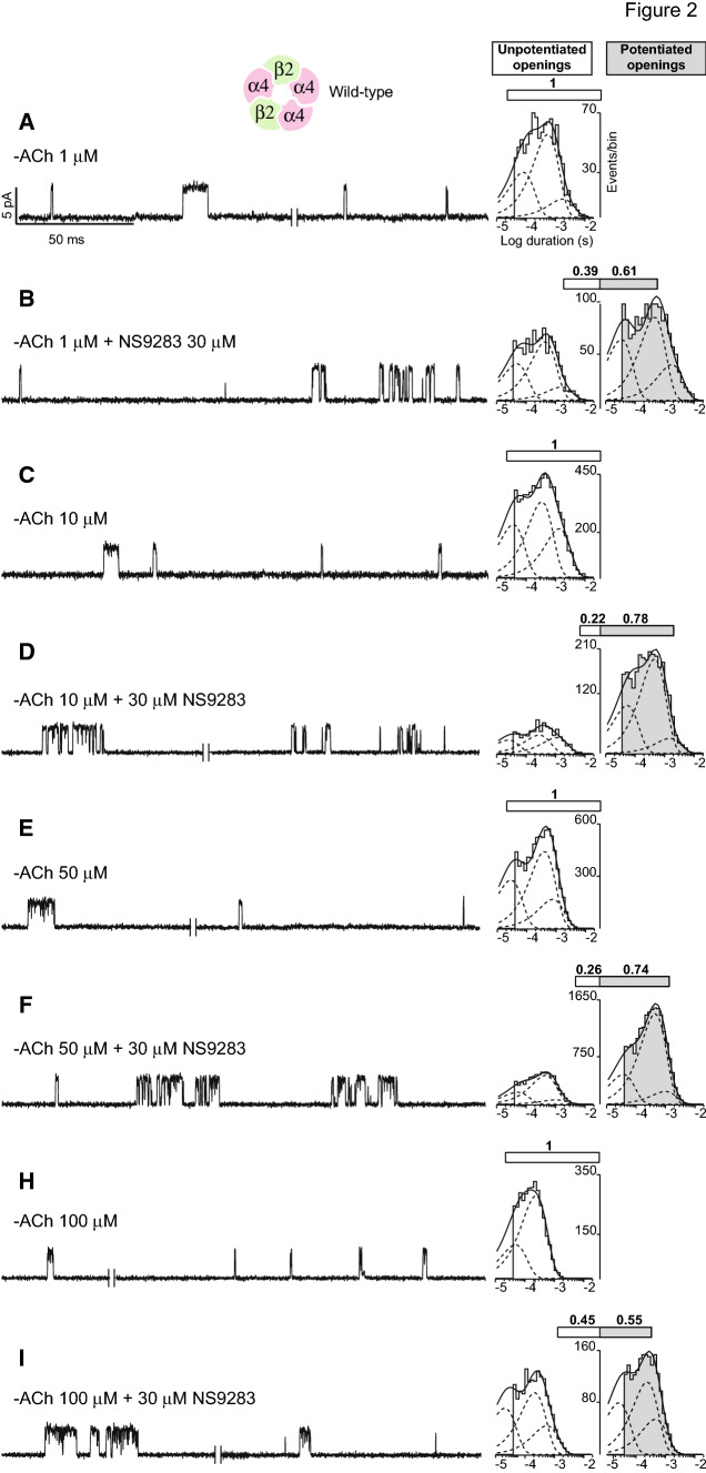 Fig. 2