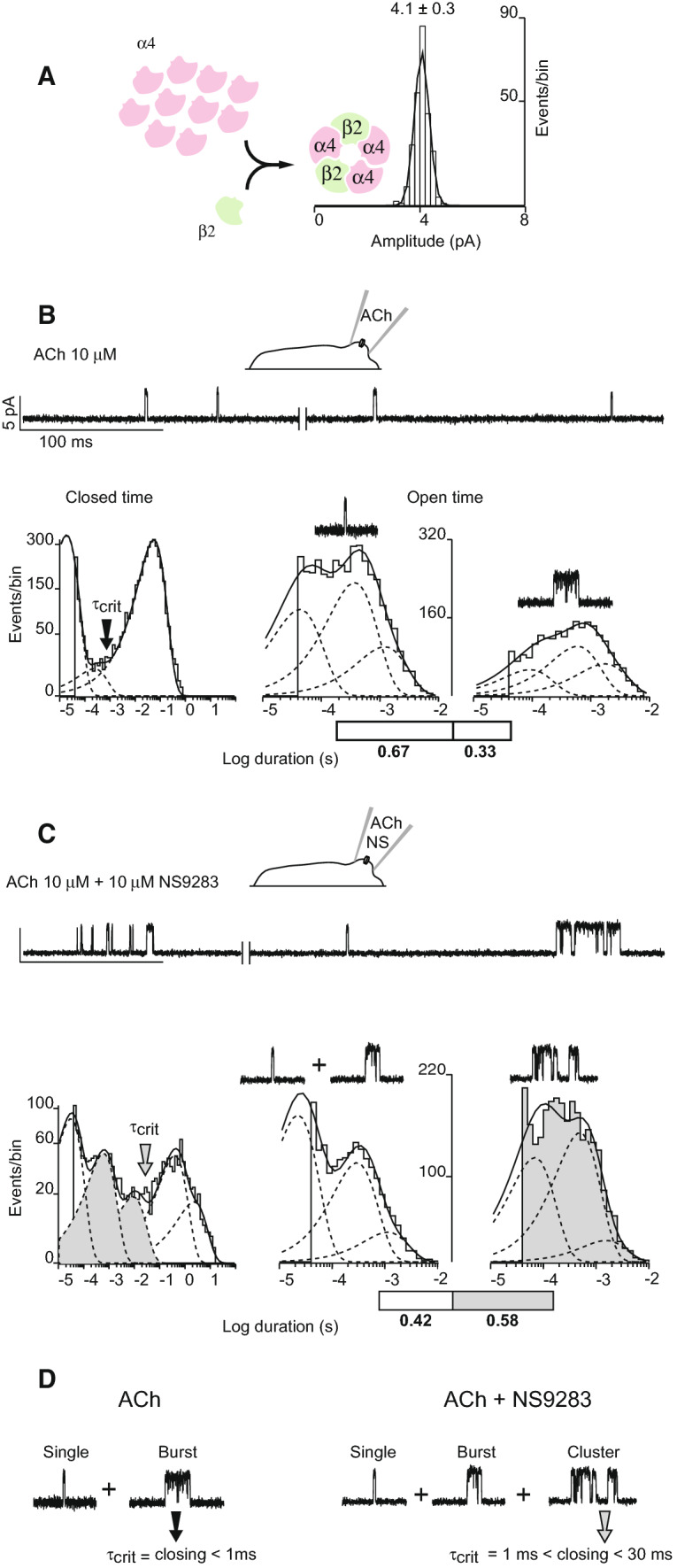 Fig. 1