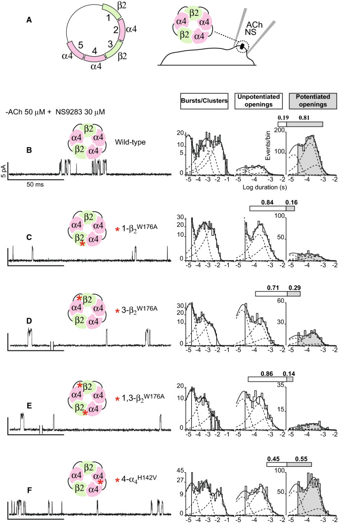 Fig. 4