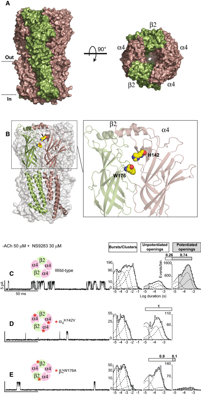 Fig. 3