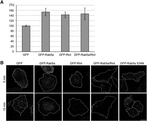 Fig. 8