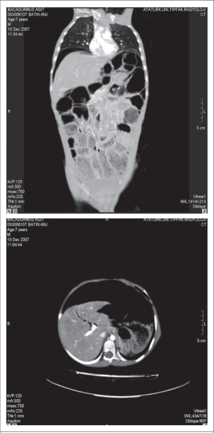 Fig. 5.