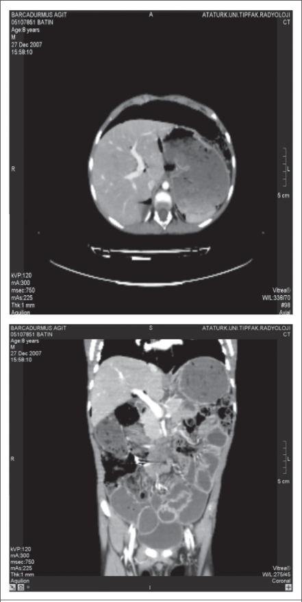 Fig. 6.