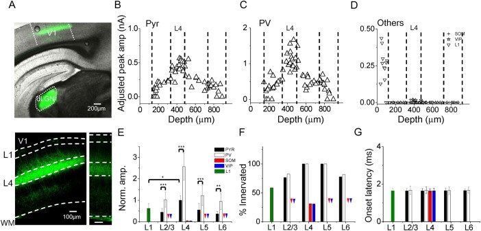 Figure 5.