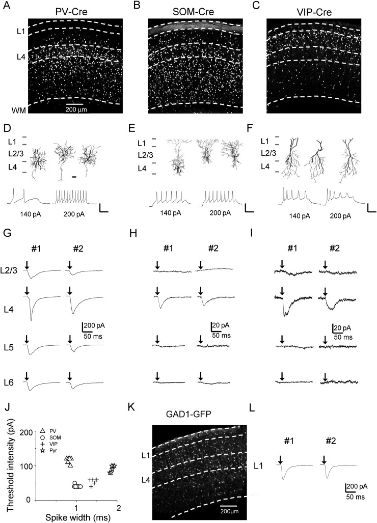 Figure 3.