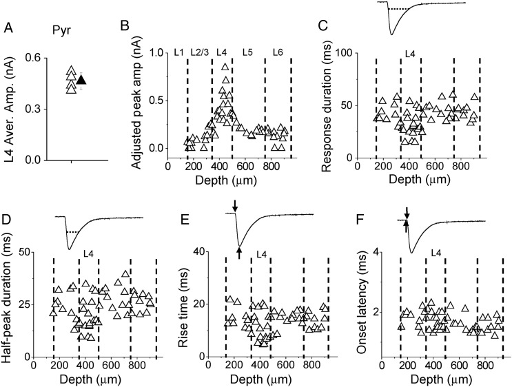 Figure 2.