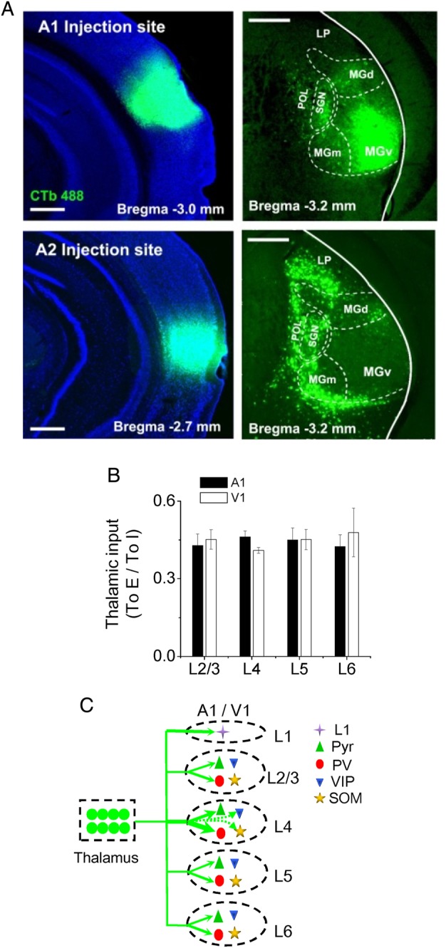 Figure 6.