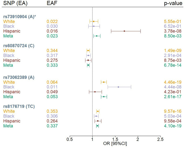 FIGURE 1