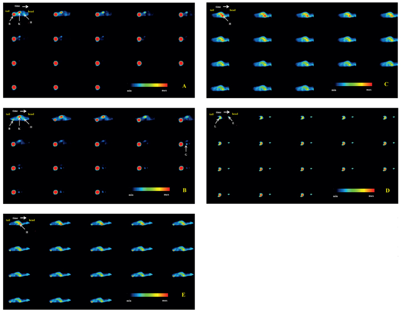 Fig. 2.