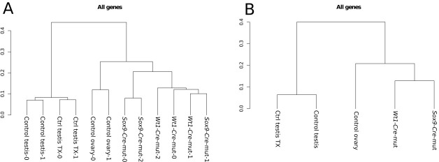 Figure 2—figure supplement 3.