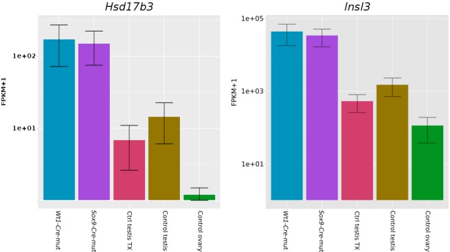 Figure 1—figure supplement 7.