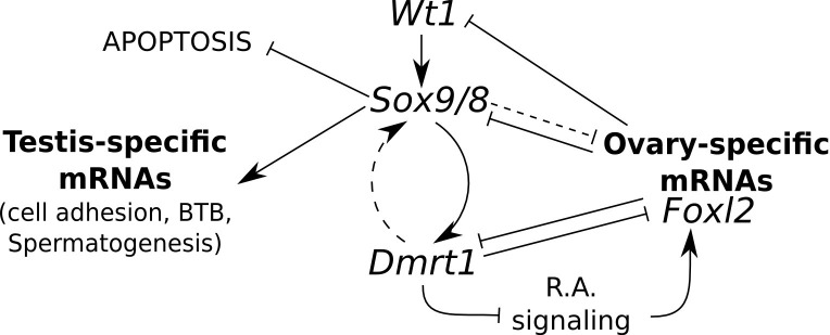 Figure 7.