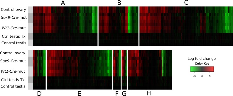 Figure 2—figure supplement 2.