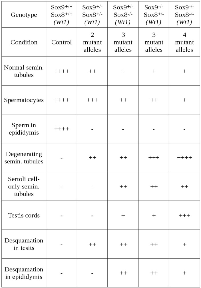 Figure 1—figure supplement 3.