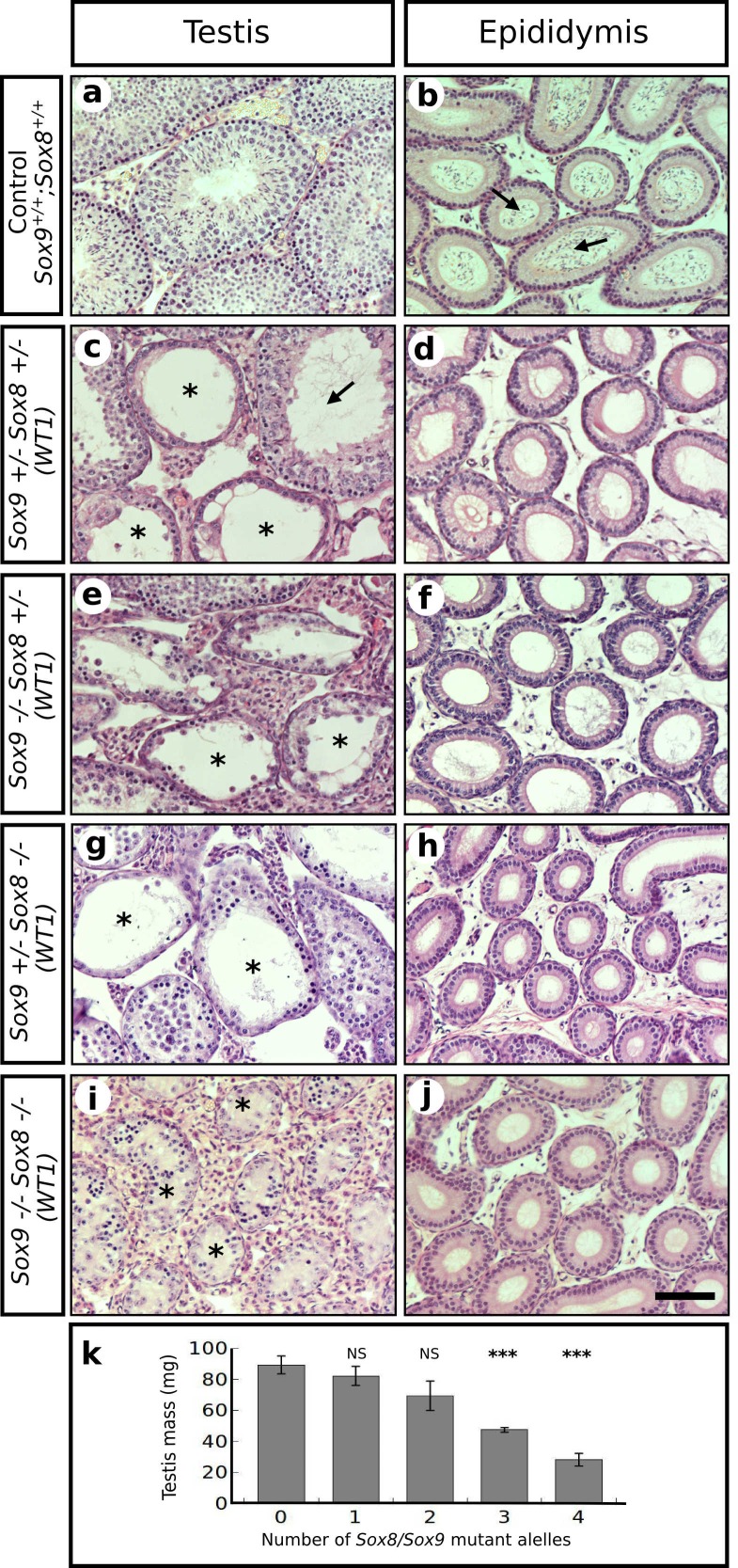 Figure 1—figure supplement 2.