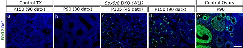 Figure 2—figure supplement 1.