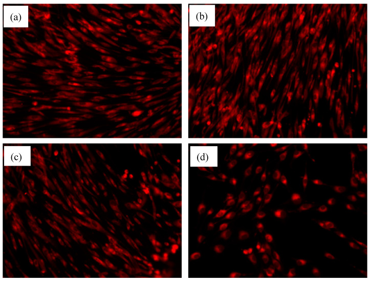 Figure 14