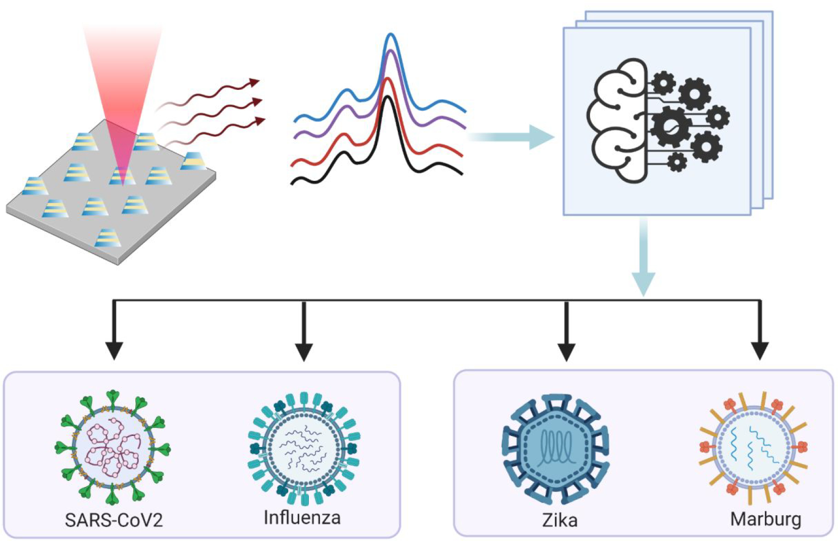 Figure 1: