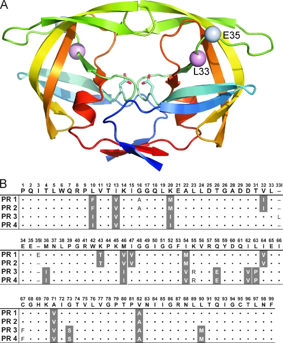 FIG. 1.