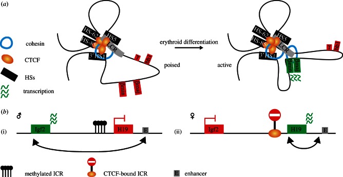 Figure 1.