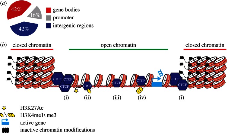 Figure 2.