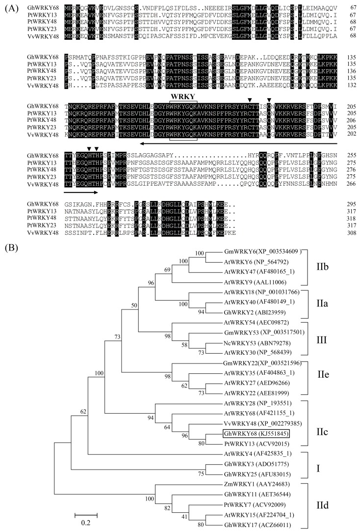 Fig 1