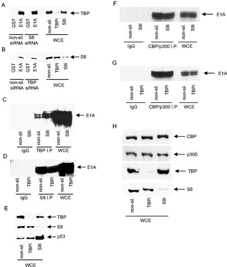 FIG. 8.