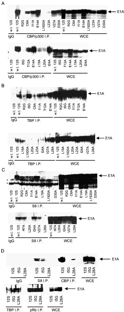 FIG. 5.