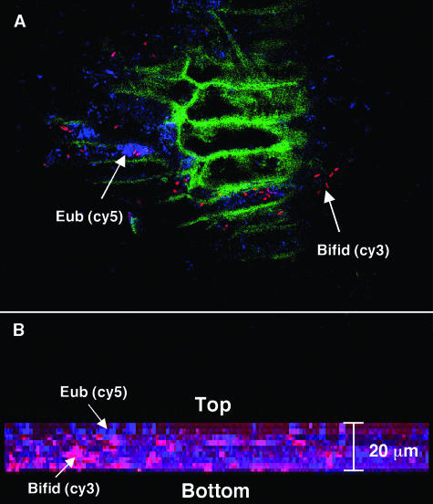 FIG. 4.