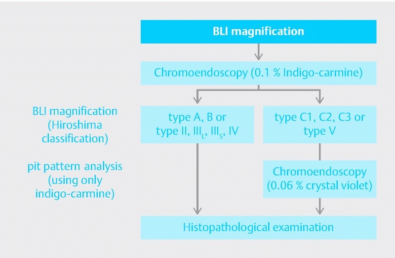 Fig. 1