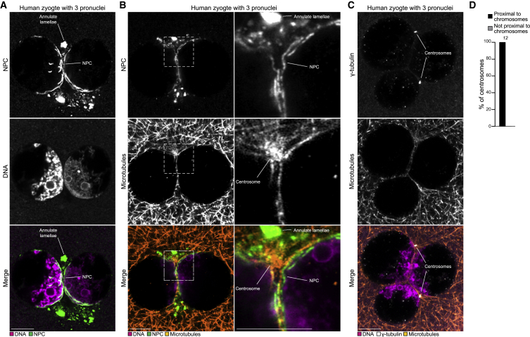 Figure 6