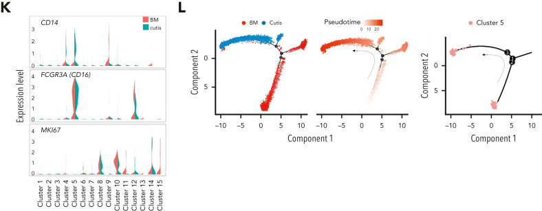 Figure 1.