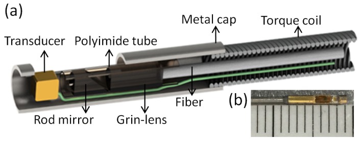 Fig. 2