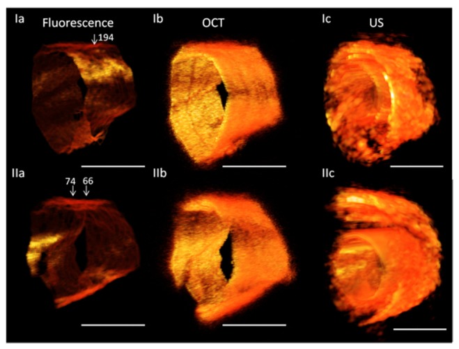 Fig. 6