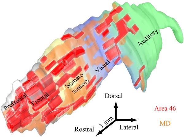 Figure 7