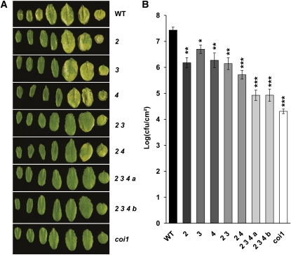 Figure 10.