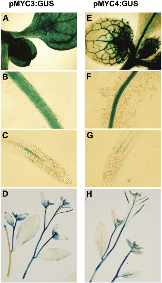 Figure 6.