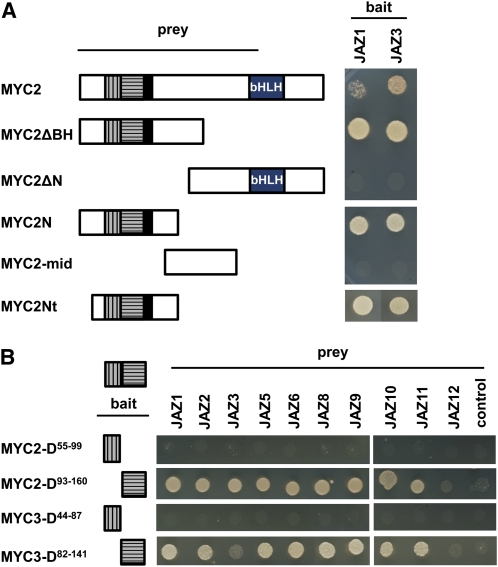 Figure 3.