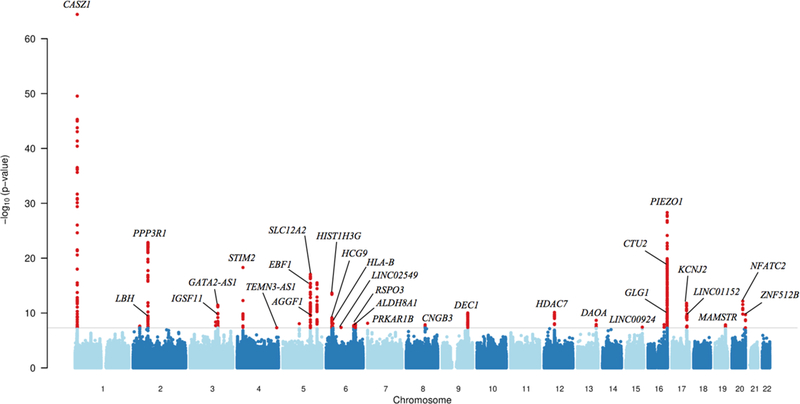 Figure 3: