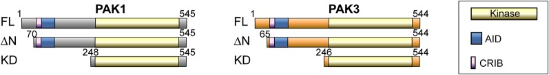 Figure 1.