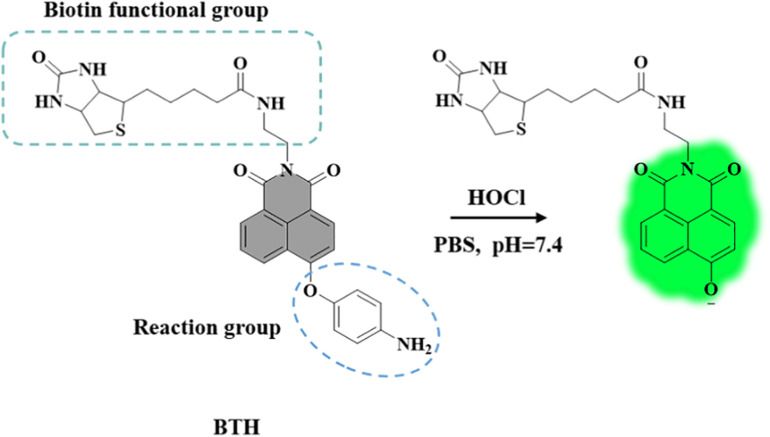 Scheme 2