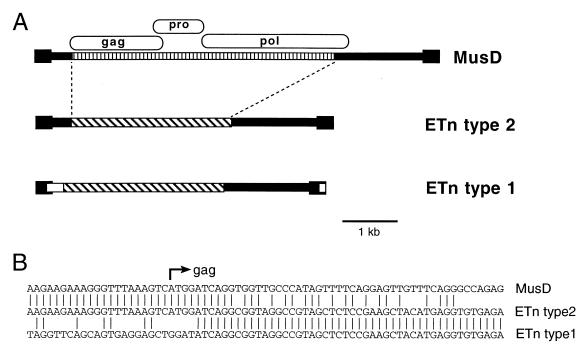 FIG. 8