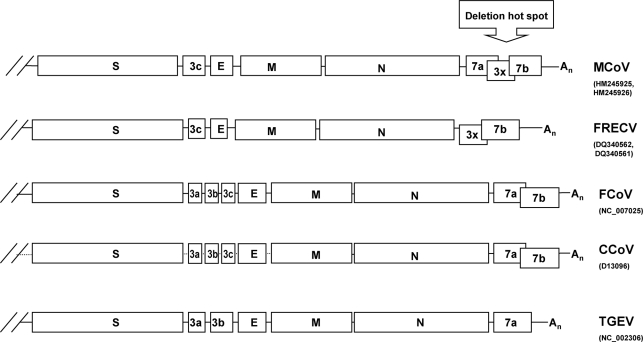 Fig. 3. 