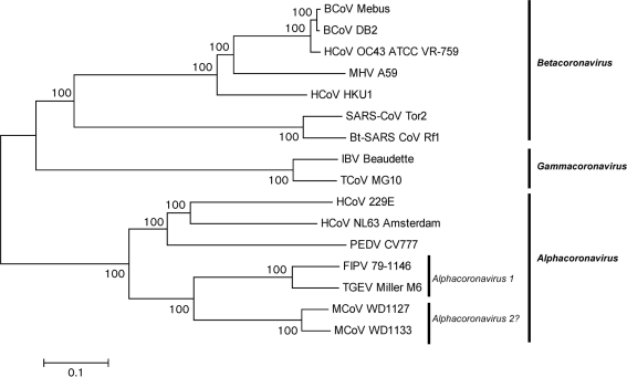 Fig. 1. 