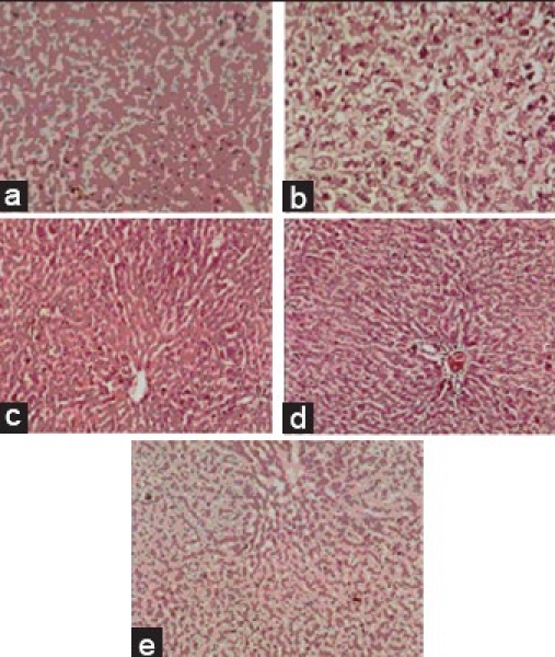 Figure 1c