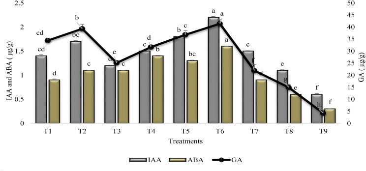 FIGURE 6