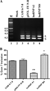 FIGURE 9.